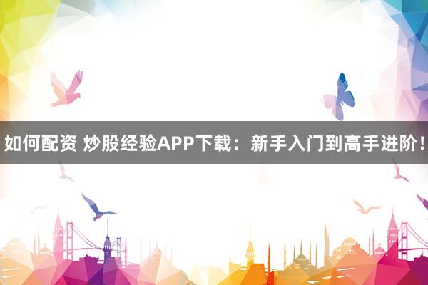 如何配资 炒股经验APP下载：新手入门到高手进阶！