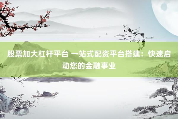 股票加大杠杆平台 一站式配资平台搭建：快速启动您的金融事业