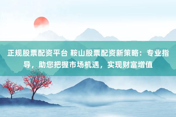 正规股票配资平台 鞍山股票配资新策略：专业指导，助您把握市场机遇，实现财富增值