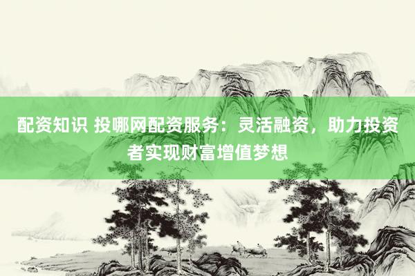配资知识 投哪网配资服务：灵活融资，助力投资者实现财富增值梦想