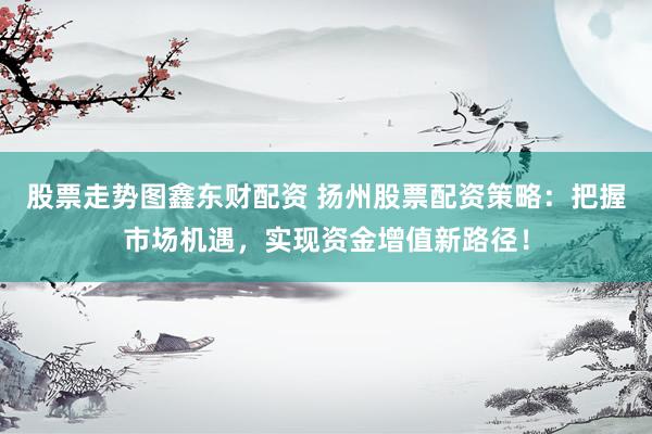 股票走势图鑫东财配资 扬州股票配资策略：把握市场机遇，实现资金增值新路径！