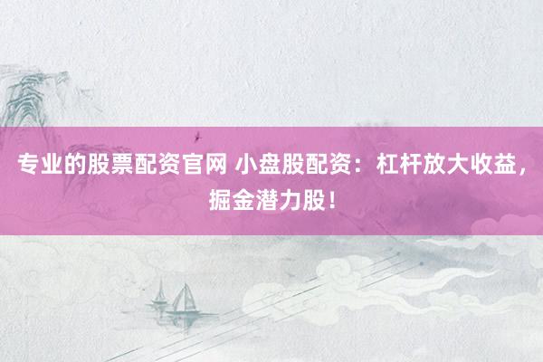 专业的股票配资官网 小盘股配资：杠杆放大收益，掘金潜力股！