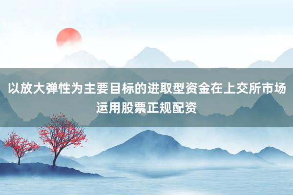 以放大弹性为主要目标的进取型资金在上交所市场运用股票正规配资